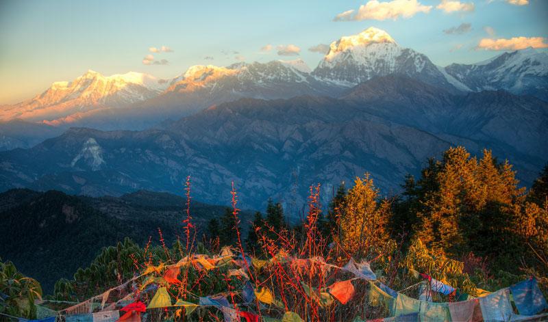 Shivapuri -Tokha day hiking tour